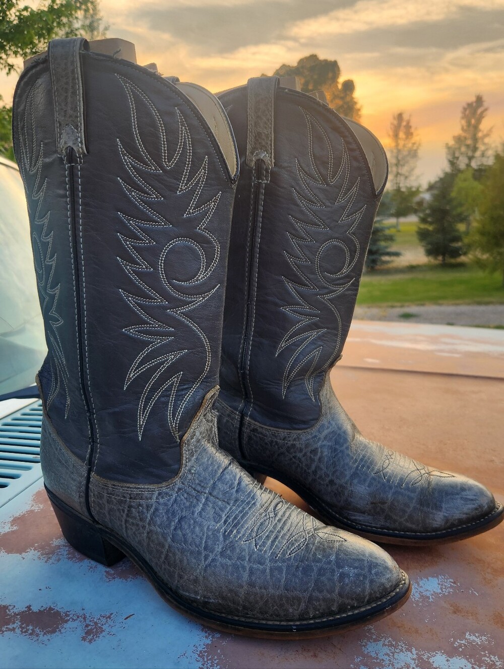 Vintage Acme Elephant Print Cowboy Boots 10EE